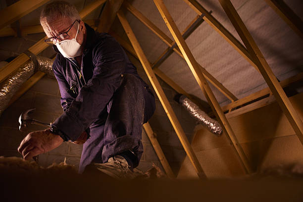 Best Energy Efficiency Insulation in West Long Branch, NJ